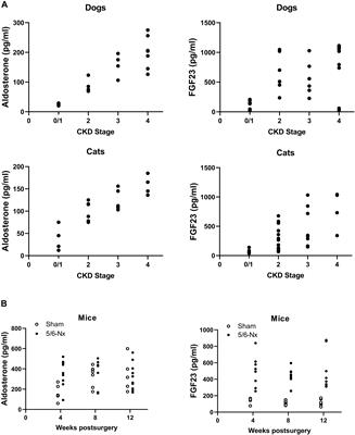 Aldosterone Is Positively Associated With Circulating FGF23 Levels in Chronic Kidney Disease Across Four Species, and May Drive FGF23 Secretion Directly